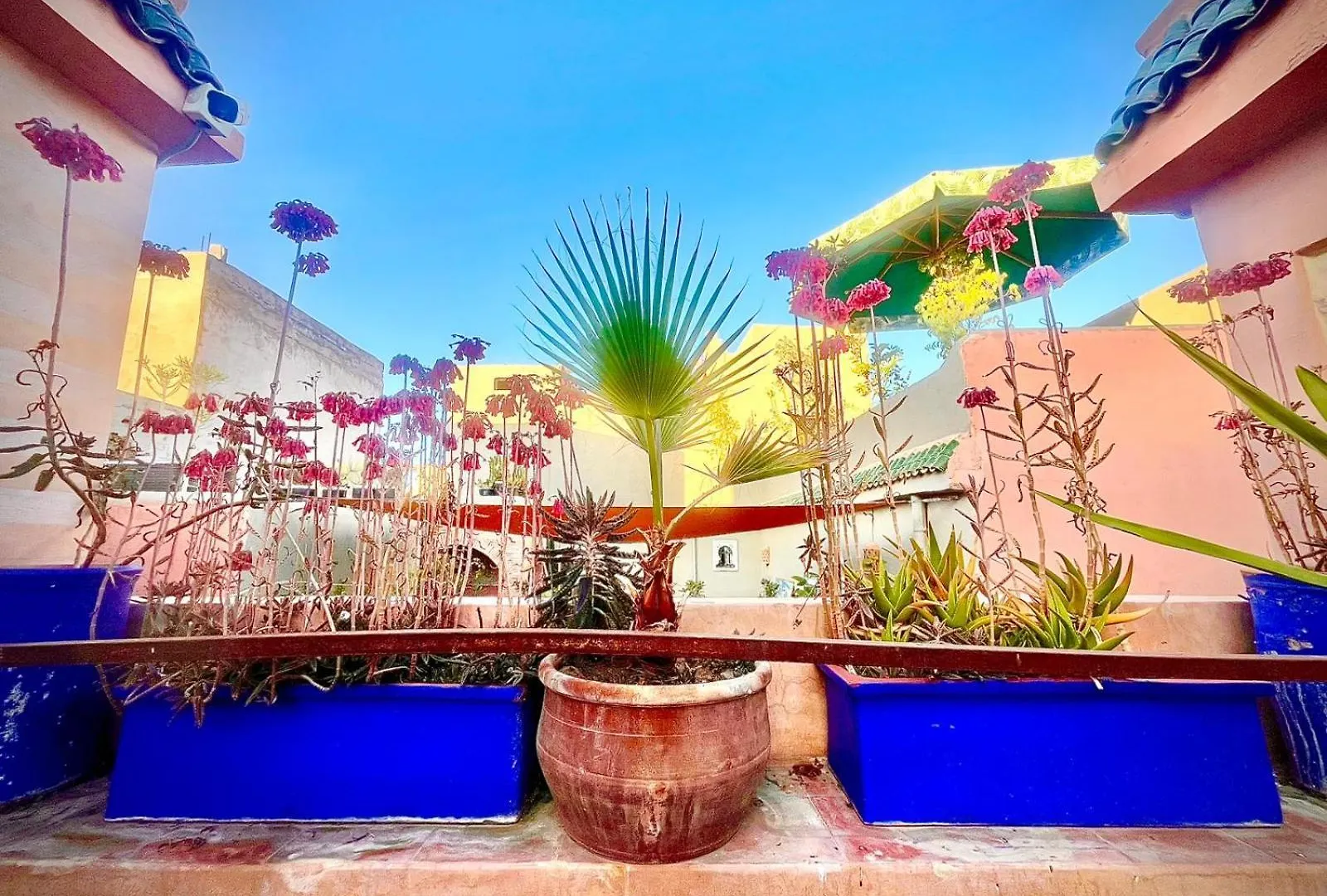 Riad Bonheur Marrakesh